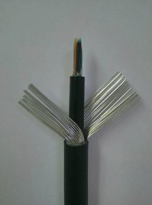 武邑防水防潮通信電纜HYAT與其他通信線纜的綜合對比與應用指南