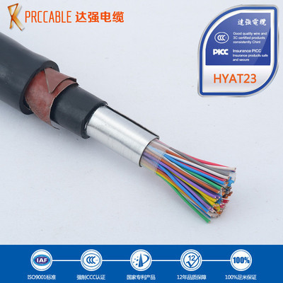 專業解析 野外通信電纜HYAT23 30*2*0.5鋼帶鎧裝電纜及其供應商
